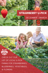 Strawberry - U-Pick